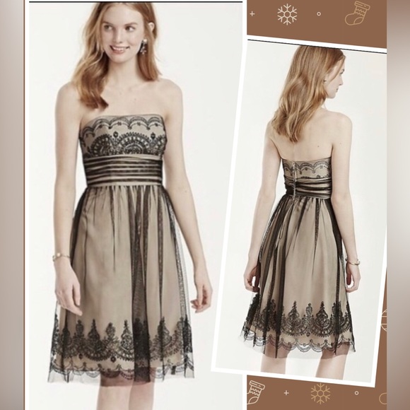 David's Bridal Mesh Beaded Prom Dress 12 Gorgeous Tulle Caviar Embellished Party - Picture 1 of 15